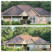 Roof Cleaning